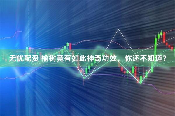 无优配资 榆树竟有如此神奇功效，你还不知道？