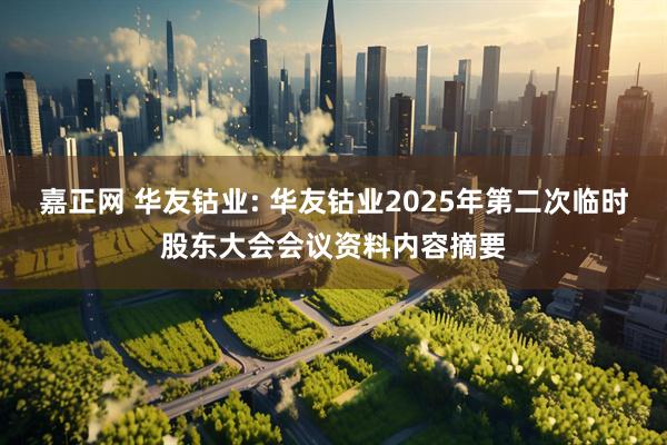 嘉正网 华友钴业: 华友钴业2025年第二次临时股东大会会议资料内容摘要