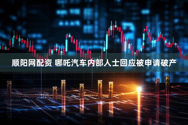顺阳网配资 哪吒汽车内部人士回应被申请破产