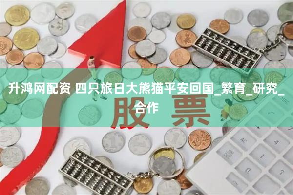 升鸿网配资 四只旅日大熊猫平安回国_繁育_研究_合作
