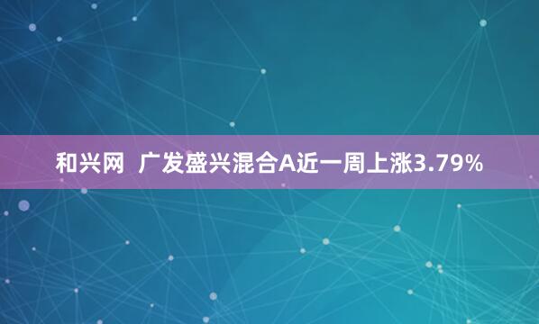 和兴网  广发盛兴混合A近一周上涨3.79%