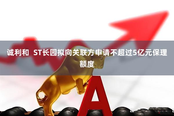 诚利和  ST长园拟向关联方申请不超过5亿元保理额度