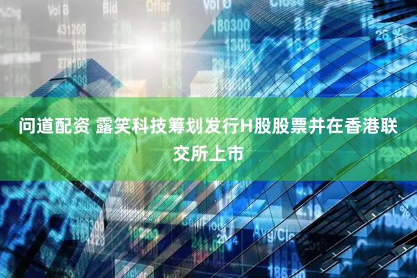 问道配资 露笑科技筹划发行H股股票并在香港联交所上市