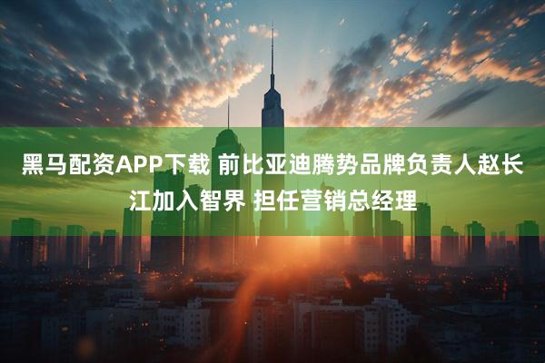 黑马配资APP下载 前比亚迪腾势品牌负责人赵长江加入智界 担任营销总经理