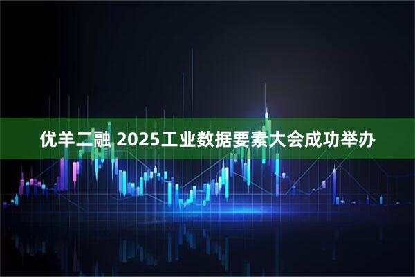 优羊二融 2025工业数据要素大会成功举办